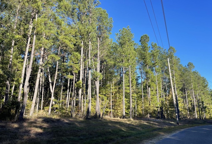 0 CR 306 TRACT 2 DR, Corinth, Mississippi 38834, ,Land,For Sale,CR 306 TRACT 2,10199110
