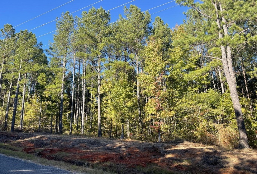 0 CR 306 TRACT 2 DR, Corinth, Mississippi 38834, ,Land,For Sale,CR 306 TRACT 2,10199110