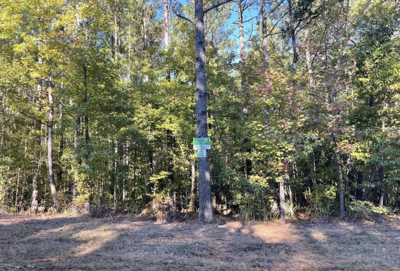 0 CR 306 TRACT 2 DR, Corinth, Mississippi 38834, ,Land,For Sale,CR 306 TRACT 2,10199110