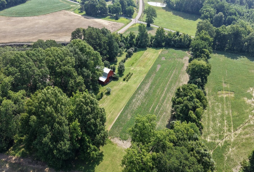 5605 88 HWY, Halls, Tennessee 38040-6103, 4 Bedrooms Bedrooms, 6 Rooms Rooms,3 BathroomsBathrooms,Residential,For Sale,88,10199130