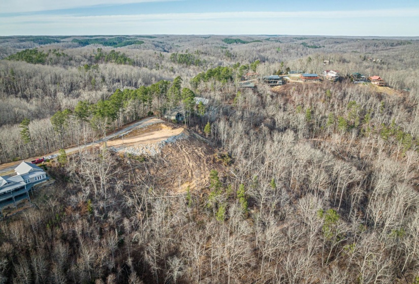 LOTS 49 & 50 RIDGEWAY DR, Sugar Tree, Tennessee 38380, 0 , 0 ,0,Land,For Sale,RIDGEWAY,0,10199139
