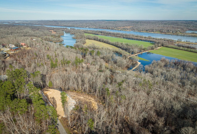 LOTS 49 & 50 RIDGEWAY DR, Sugar Tree, Tennessee 38380, 0 , 0 ,0,Land,For Sale,RIDGEWAY,0,10199139