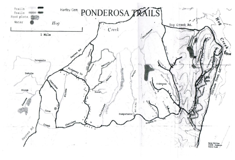 LOTS 49 & 50 RIDGEWAY DR, Sugar Tree, Tennessee 38380, 0 , 0 ,0,Land,For Sale,RIDGEWAY,0,10199139