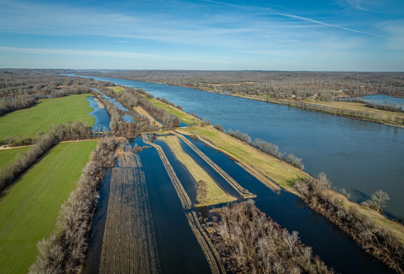 LOTS 49 & 50 RIDGEWAY DR, Sugar Tree, Tennessee 38380, 0 , 0 ,0,Land,For Sale,RIDGEWAY,0,10199139