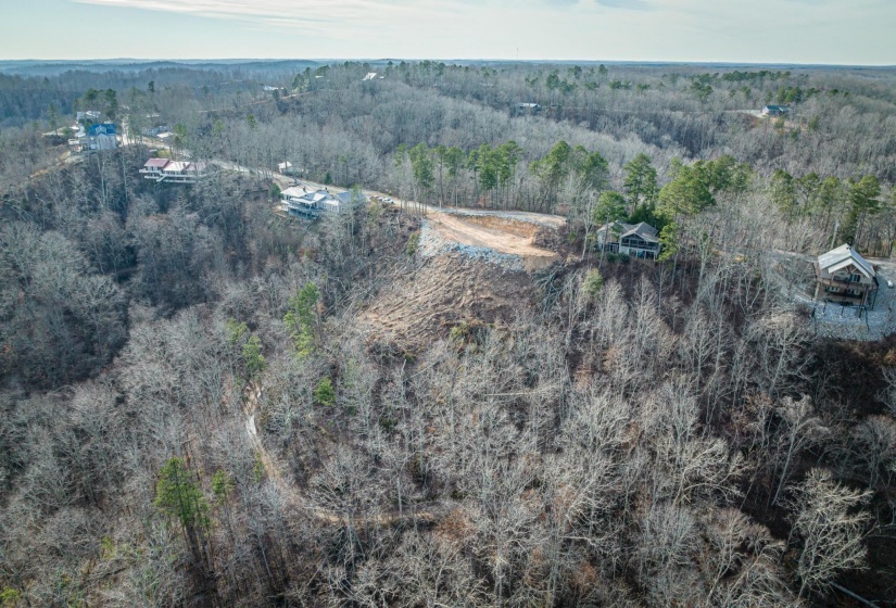 LOTS 49 & 50 RIDGEWAY DR, Sugar Tree, Tennessee 38380, 0 , 0 ,0,Land,For Sale,RIDGEWAY,0,10199139