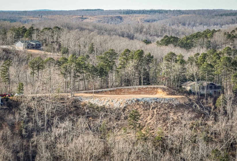LOTS 49 & 50 RIDGEWAY DR, Sugar Tree, Tennessee 38380, 0 , 0 ,0,Land,For Sale,RIDGEWAY,0,10199139