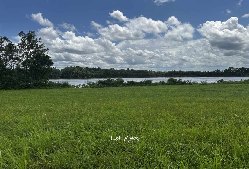 LOT 73 CATFISH LN, Crump, Tennessee 38327, 0 , 0 ,0,Land,For Sale,CATFISH,0,10199210