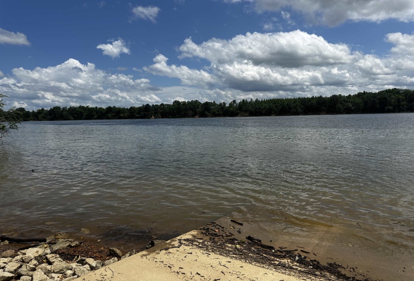 LOT 73 CATFISH LN, Crump, Tennessee 38327, 0 , 0 ,0,Land,For Sale,CATFISH,0,10199210