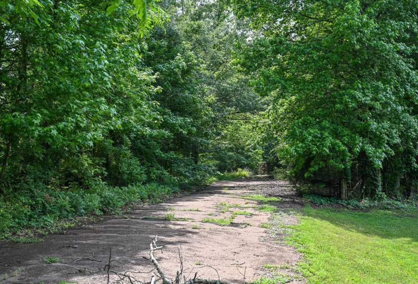 View of road featuring a wooded view