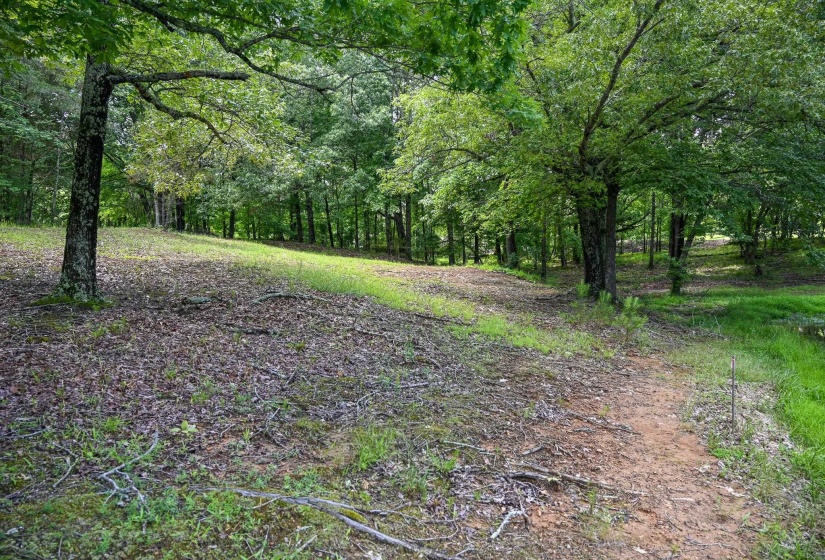 View of wooded area