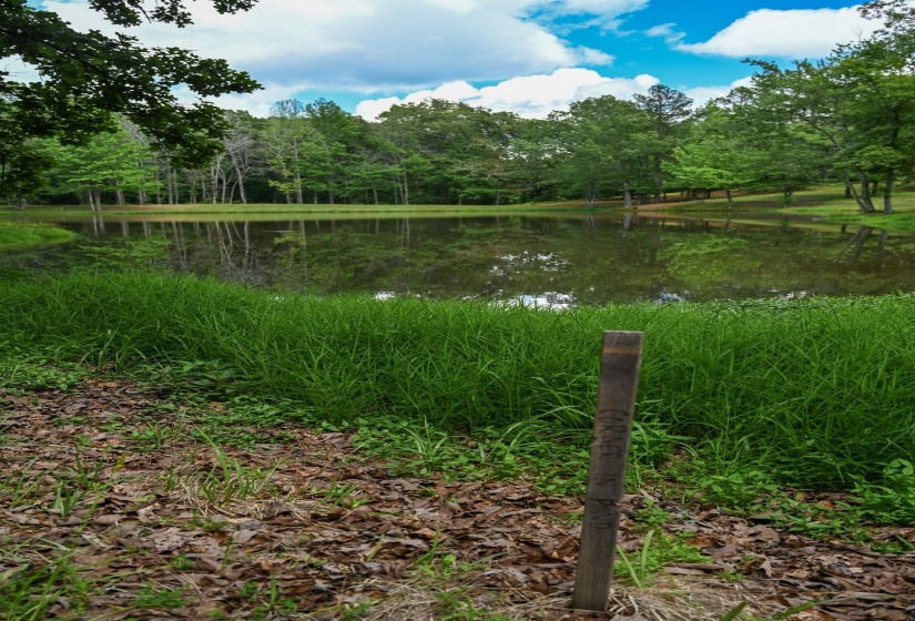 Water view with a heavily wooded area