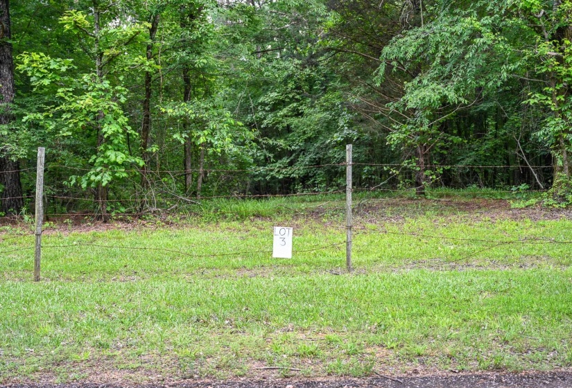 View of yard with a forest view
