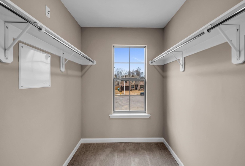 Spacious closet featuring carpet flooring