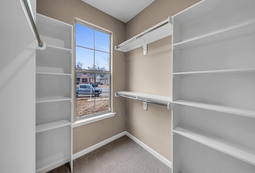 Spacious closet featuring carpet