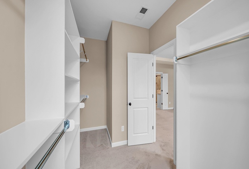 Spacious closet featuring visible vents and light colored carpet