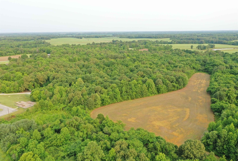 Bird's eye view of a heavily wooded area