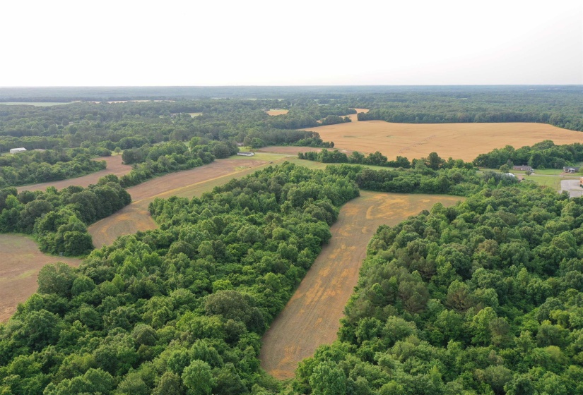 Overview of rural landscape