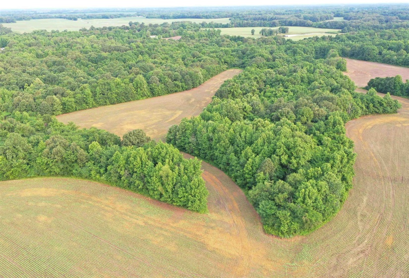 Aerial view of a heavily wooded area