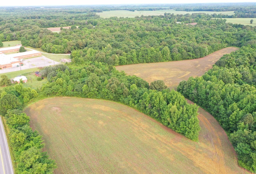 Drone / aerial view of a forest