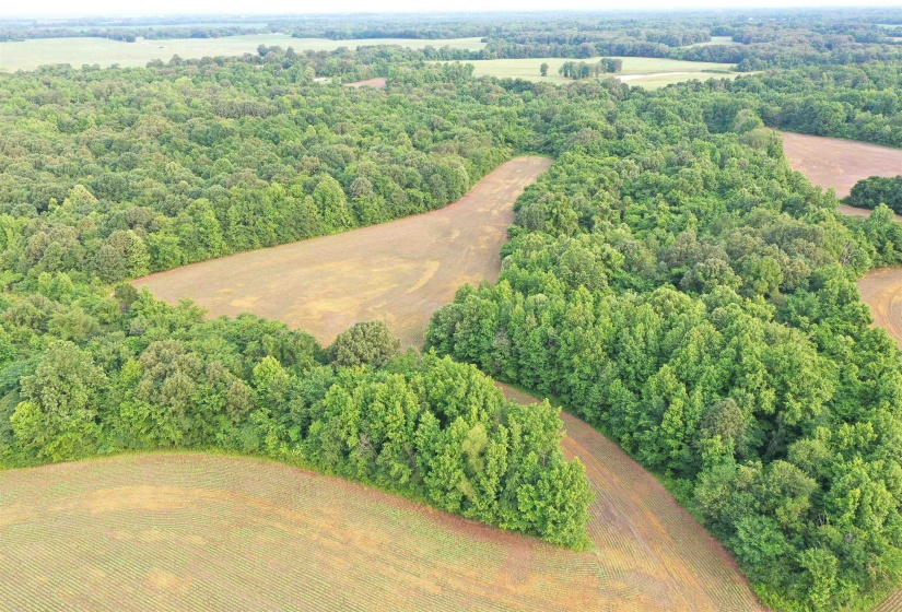 Aerial view of a heavily wooded area