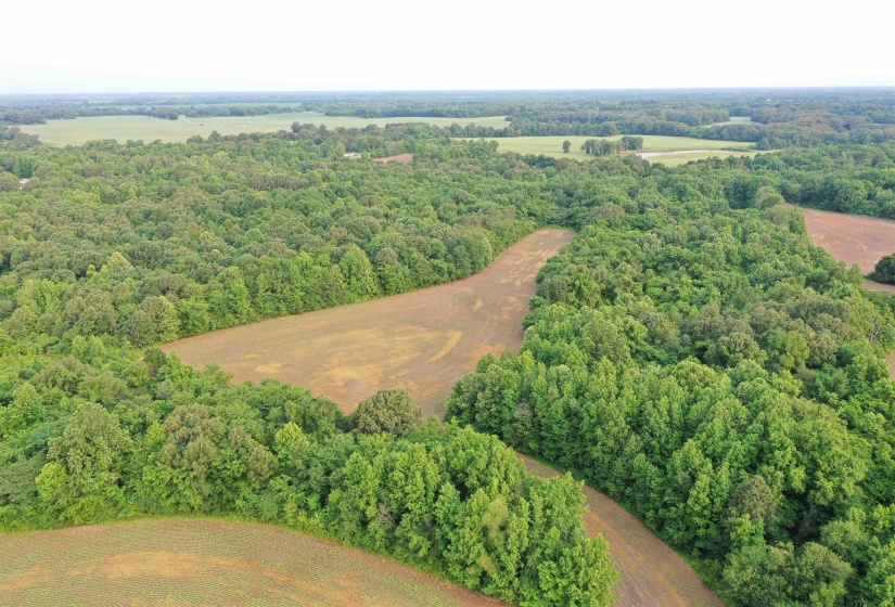Bird's eye view of a heavily wooded area