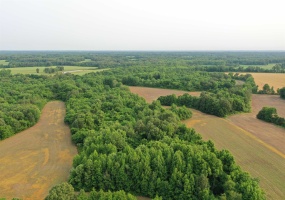 1858 DENMARK JACKSON RD, Denmark, Tennessee 38391, ,Land,For Sale,DENMARK JACKSON,10199545