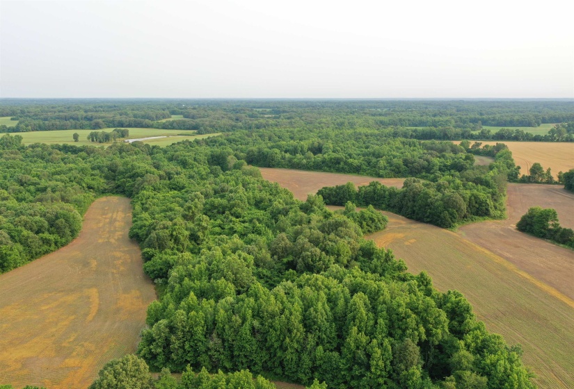 View of rural area with a heavily wooded area
