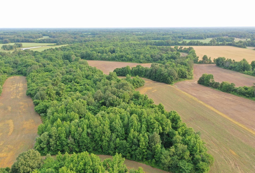 View of rural area with a heavily wooded area