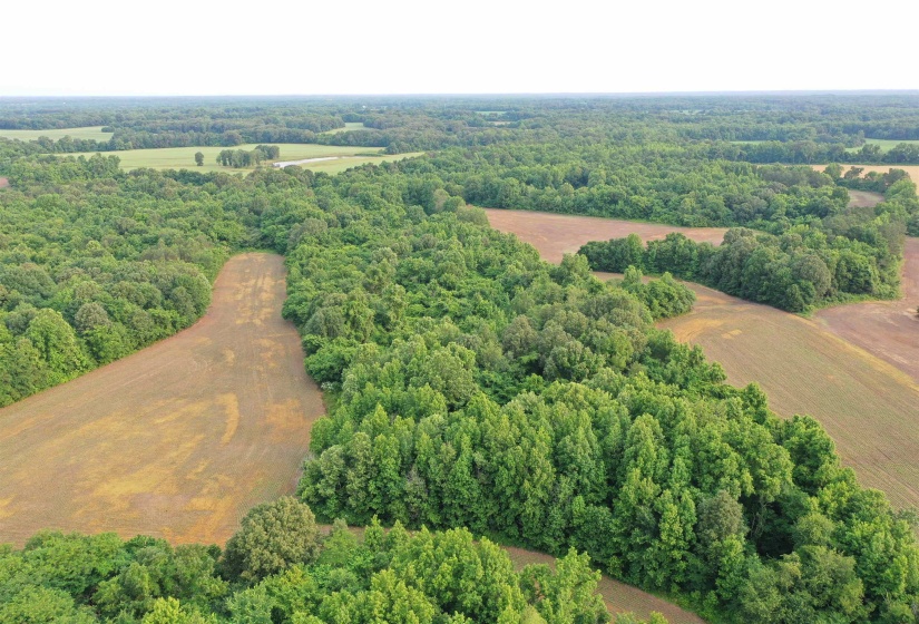 Aerial view of a heavily wooded area