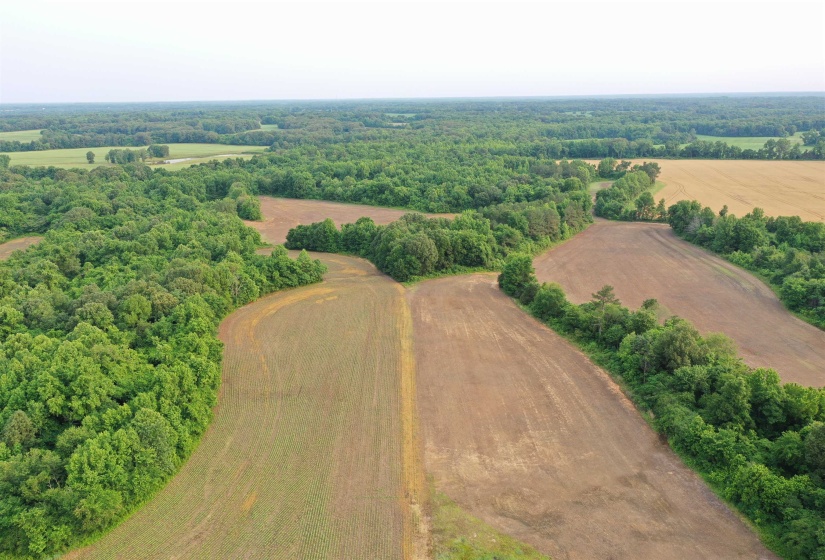View of rural area featuring a forest