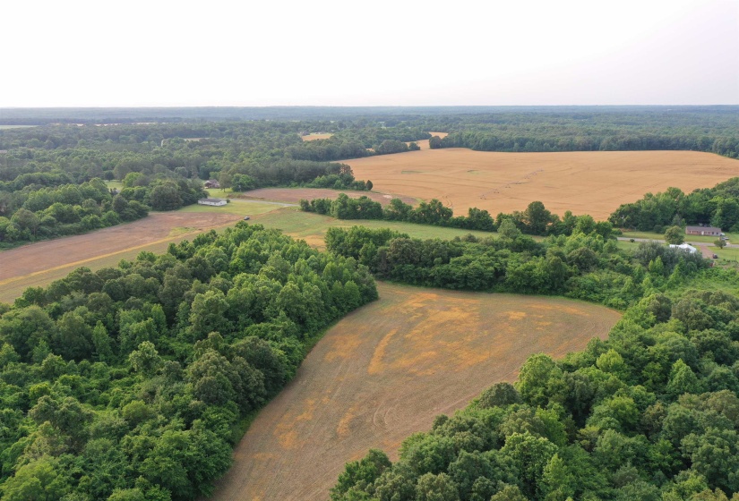 View of rural area