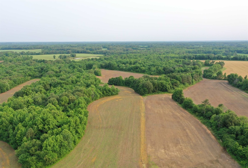View of rural area with a forest