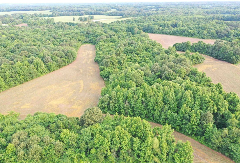 Aerial overview of property's location featuring a forest