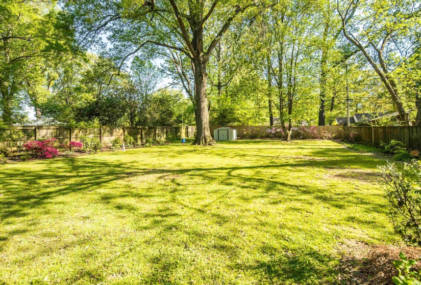 View of yard with an outdoor structure, a storage unit, and a fenced backyard