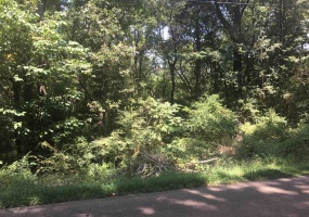 3837 CANADA RD, Lakeland, Tennessee 38002, ,Land,For Sale,CANADA,10199899 3837 CANADA RD, Lakeland, Tennessee 38002, ,Land,For Sale,CANADA,10199899