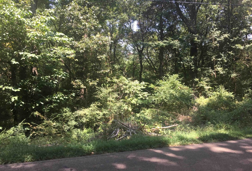 3837 CANADA RD, Lakeland, Tennessee 38002, ,Land,For Sale,CANADA,10199899