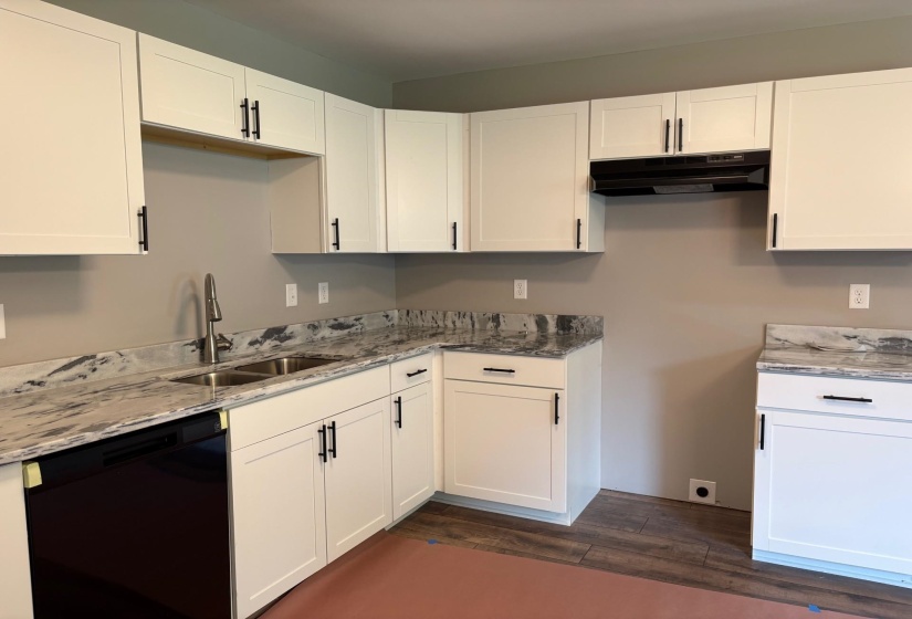 Kitchen featuring dishwasher, under cabinet range hood, dark wood-type flooring, and white cabinets