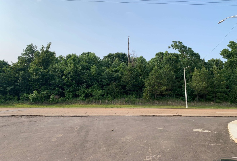 0 MILTON WILSON RD, Arlington, Tennessee 38002, ,Land,For Sale,MILTON WILSON,10200100