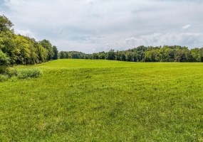 2245 BIG IVY RD, Savannah, Tennessee 38372, 0 , 0 ,0,Land,For Sale,BIG IVY,0,10200238 2245 BIG IVY RD, Savannah, Tennessee 38372, 0 , 0 ,0,Land,For Sale,BIG IVY,0,10200238
