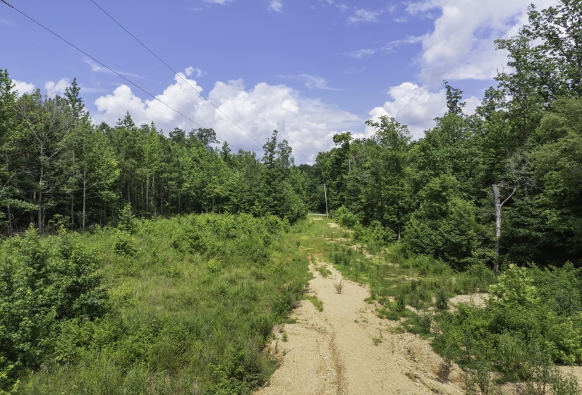 View of street with a view of trees