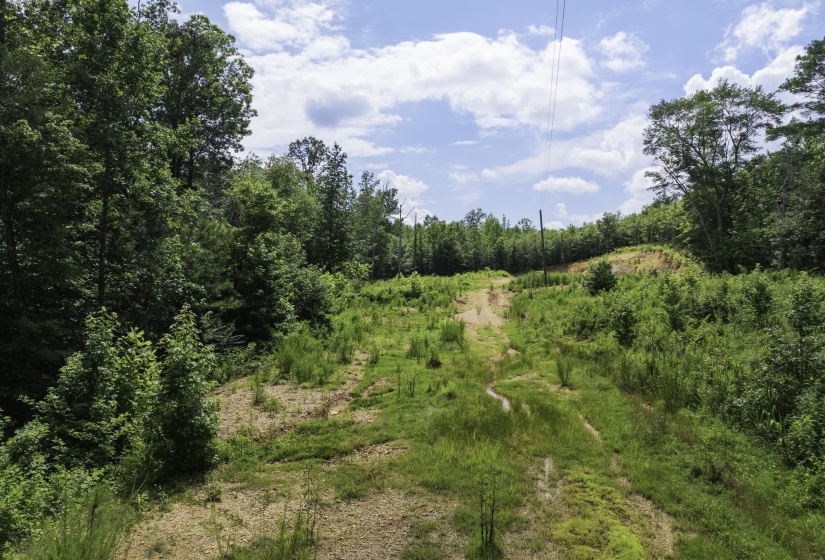 View of woods