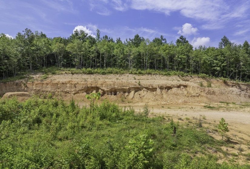 View of wooded area