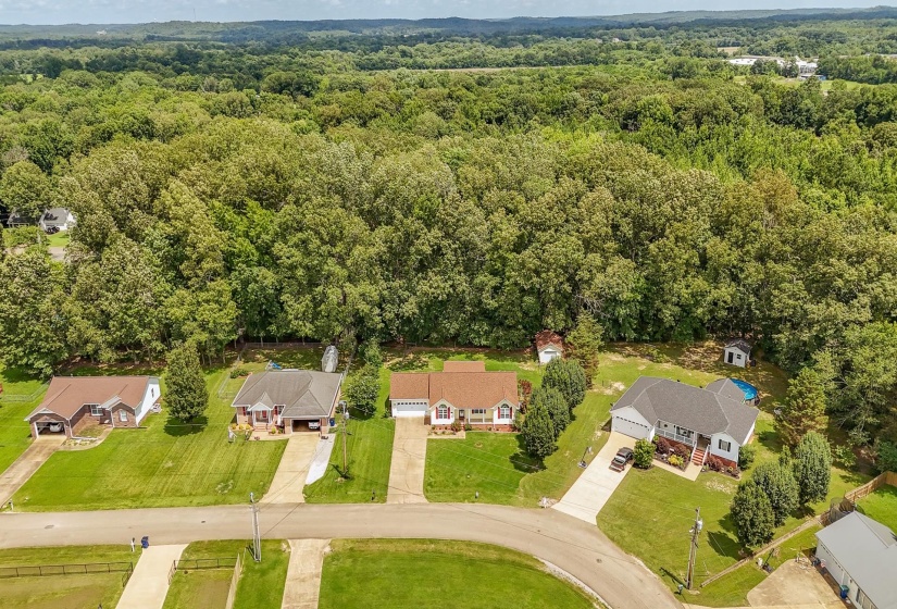 Drone / aerial view of a forest