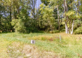 170 CROWN VISTA LN, Piperton, Tennessee 38017, ,Land,For Sale,CROWN VISTA,10149711