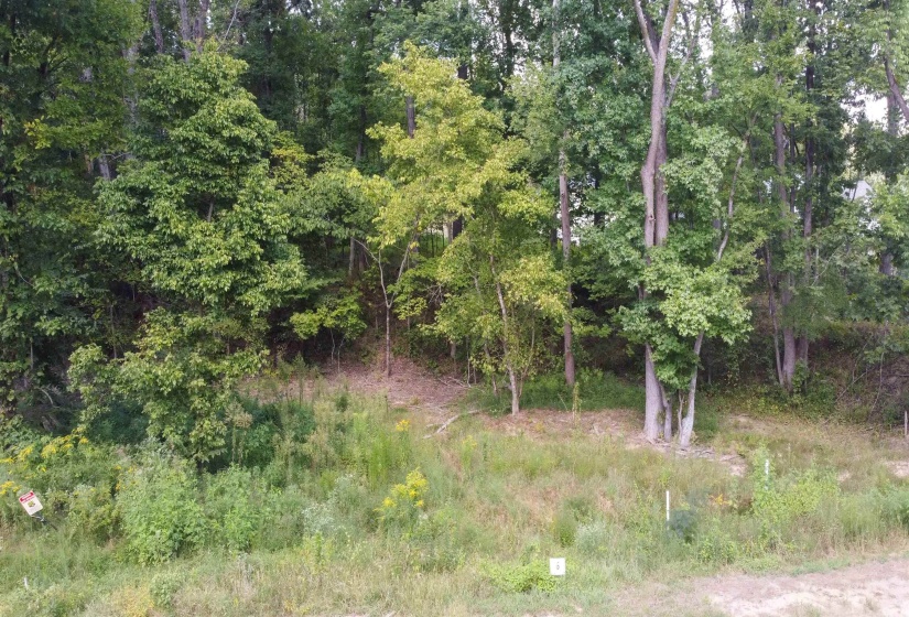 View of undeveloped land