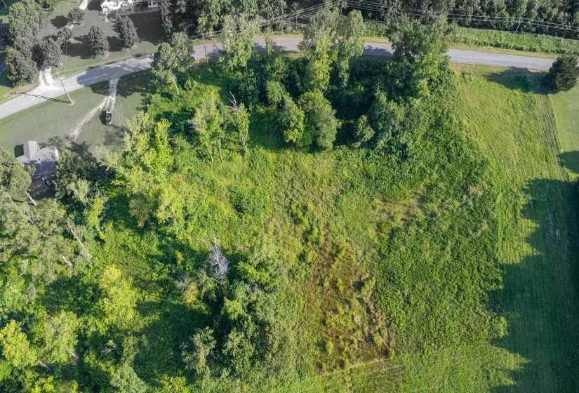 000 CONNER WHITEFIELD RD, Ripley, Tennessee 38063, 0 , 0 ,0,Land,For Sale,CONNER WHITEFIELD,0,10201186