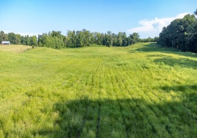 000 CONNER WHITEFIELD RD, Ripley, Tennessee 38063, 0 , 0 ,0,Land,For Sale,CONNER WHITEFIELD,0,10201186 000 CONNER WHITEFIELD RD, Ripley, Tennessee 38063, 0 , 0 ,0,Land,For Sale,CONNER WHITEFIELD,0,10201186