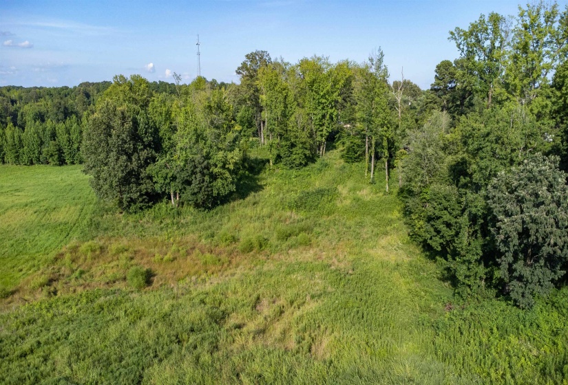 000 CONNER WHITEFIELD RD, Ripley, Tennessee 38063, 0 , 0 ,0,Land,For Sale,CONNER WHITEFIELD,0,10201186