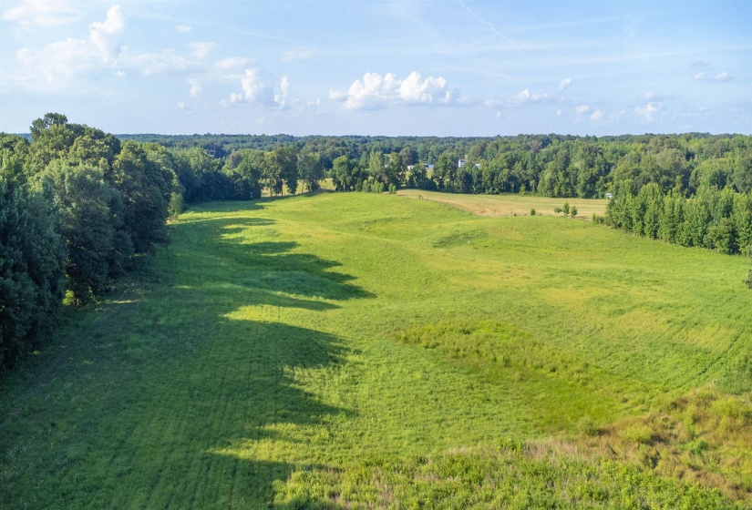 000 CONNER WHITEFIELD RD, Ripley, Tennessee 38063, 0 , 0 ,0,Land,For Sale,CONNER WHITEFIELD,0,10201186