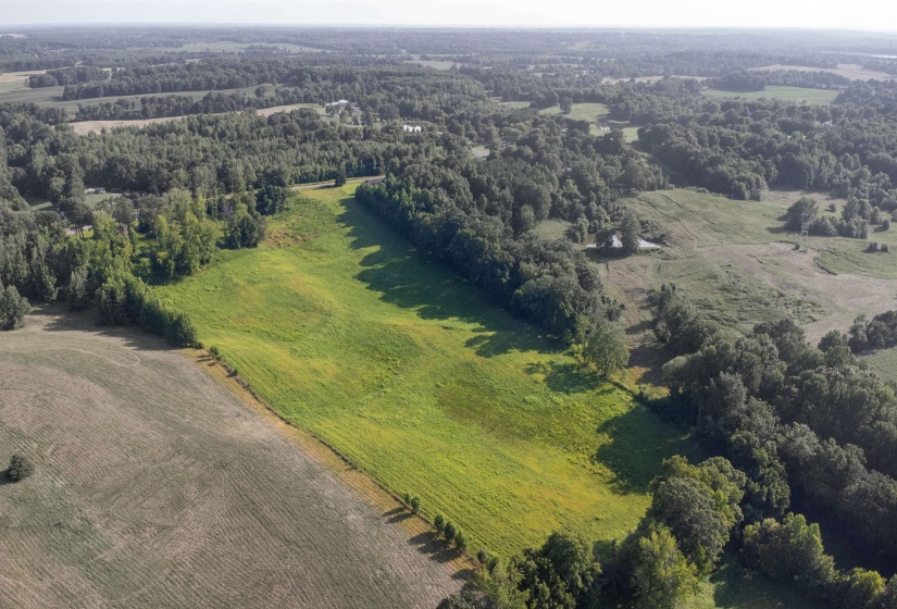 000 CONNER WHITEFIELD RD, Ripley, Tennessee 38063, 0 , 0 ,0,Land,For Sale,CONNER WHITEFIELD,0,10201186